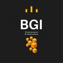bgi bi garip inceleme bir garip inceleme