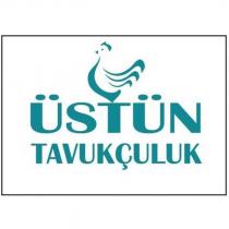 üstün tavukçuluk