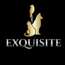 exquisite