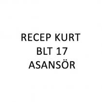 recep kurt blt17 asansör