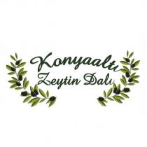 konyaaltı zeytin dalı