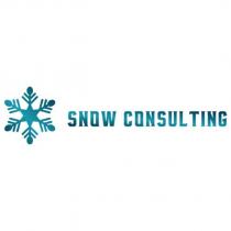snow consulting