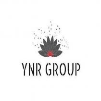 ynr group