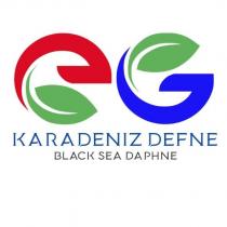 eg karadeniz defne black sea daphne