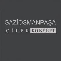gaziosmanpaşa çilek konsept