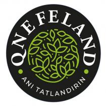 qnefeland anı tatlandırın