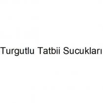 turgutlu tatbii sucukları