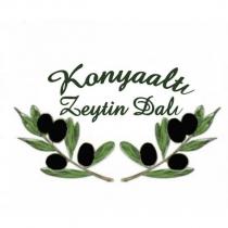 konyaaltı zeytin dalı