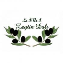 lara zeytin dalı