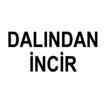 dalından incir