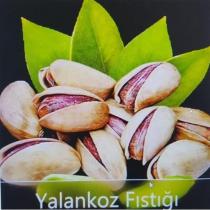 yalankoz fıstığı