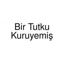 bir tutku kuruyemiş