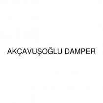 akçavuşoğlu damper
