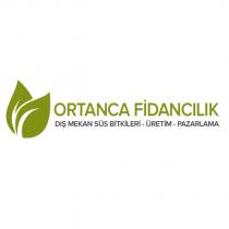 ortanca fidancılık dış mekan süs bitkileri üretim pazarlama