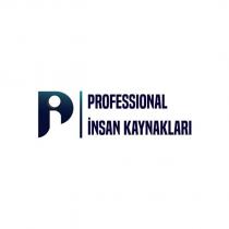 professional insan kaynakları