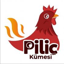 piliç kümesi