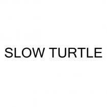 slow turtle