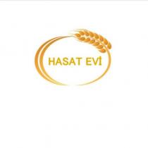 hasat evi