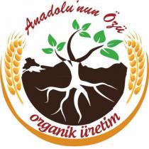 anadolu'nun özü organik üretim