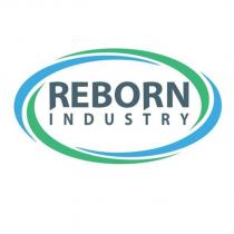 reborn industry