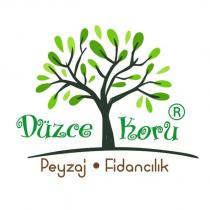 düzce koru peyzaj fidancılık