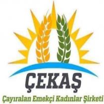 çekaş çayıralan emekçi kadınlar şirketi