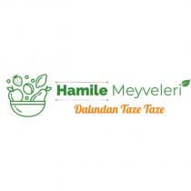 hamile meyveleri dalından taze taze