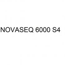 novaseq 6000 s4