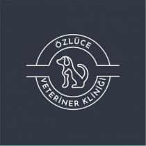 özlüce veteriner kliniği