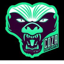 coza esports