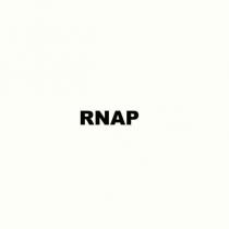 rnap