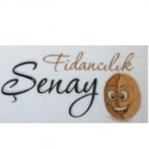 şenay fidancılık