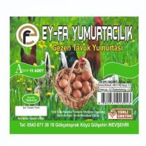 ey-fa yumurtacılık gezen tavuk yumurtası asınıfı 15 adet yerli üretim .