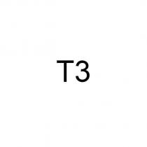 t3