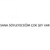 sana söyleyeceğim çok şey var