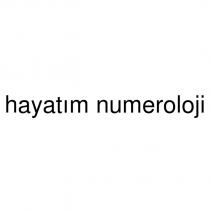 hayatım numeroloji