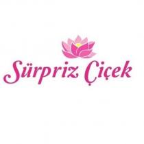 sürpriz çiçek
