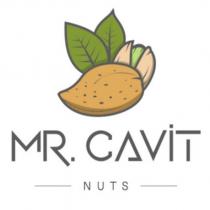 mr. cavit nuts