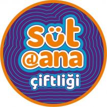 süt dana çiftliği