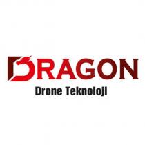 dragon drone teknoloji