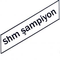 shm şampiyon