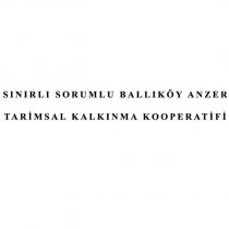 sınırlı sorumlu ballıköy anzer tarimsal kalkınma kooperatifi