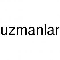 uzmanlar