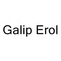 galip erol