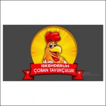 iskenderun çoban tavukçuluk