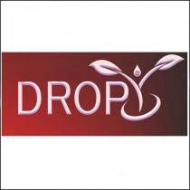 dropy