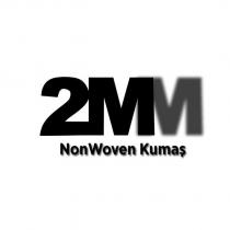 2mm nonwoven kumaş