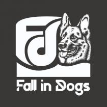 fd fall in dogs