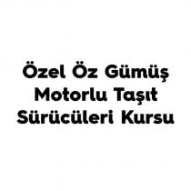 özel öz gümüş motorlu taşıt sürücüleri kursu