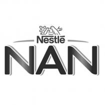 nestle nan